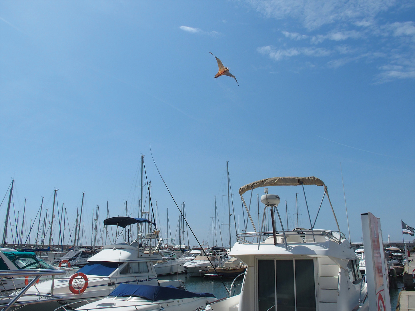 StopGull Falcon Ersatz-Falcon